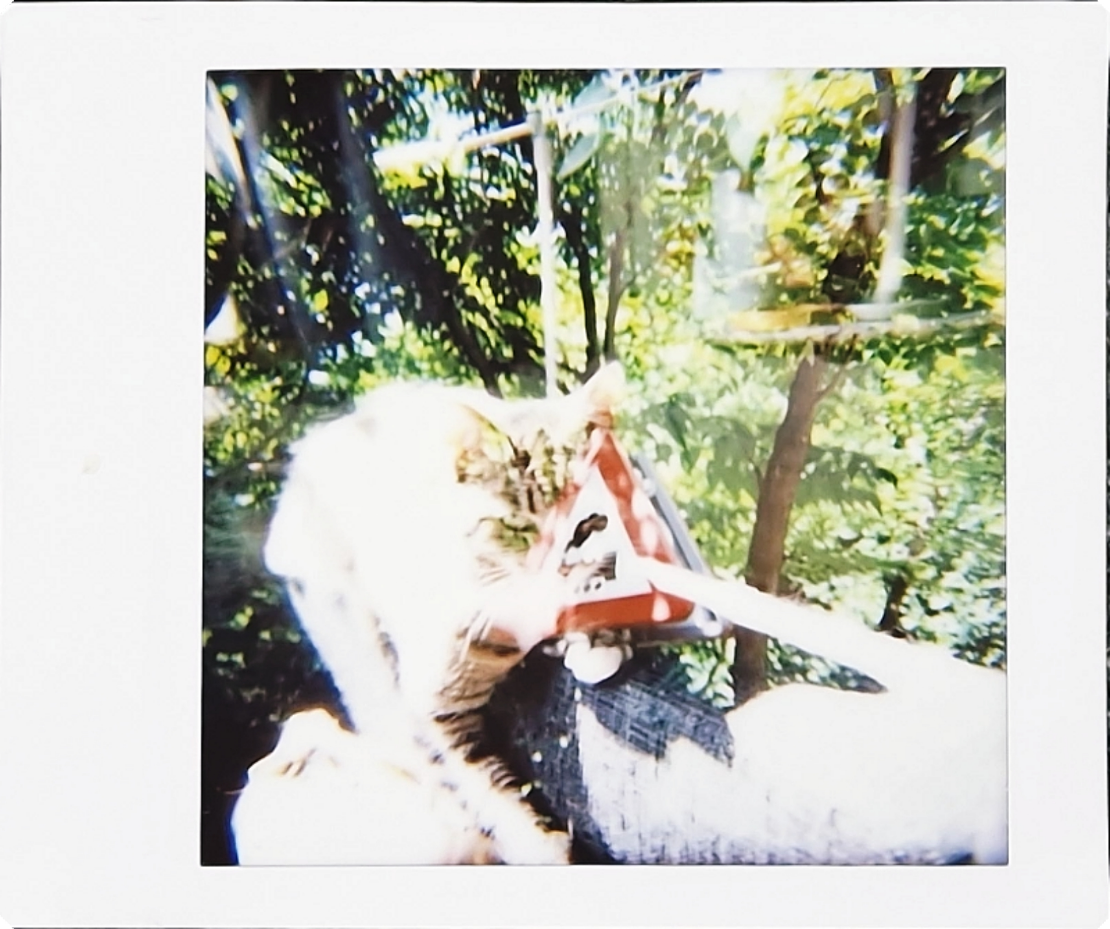 Dubbel belichte Instax film