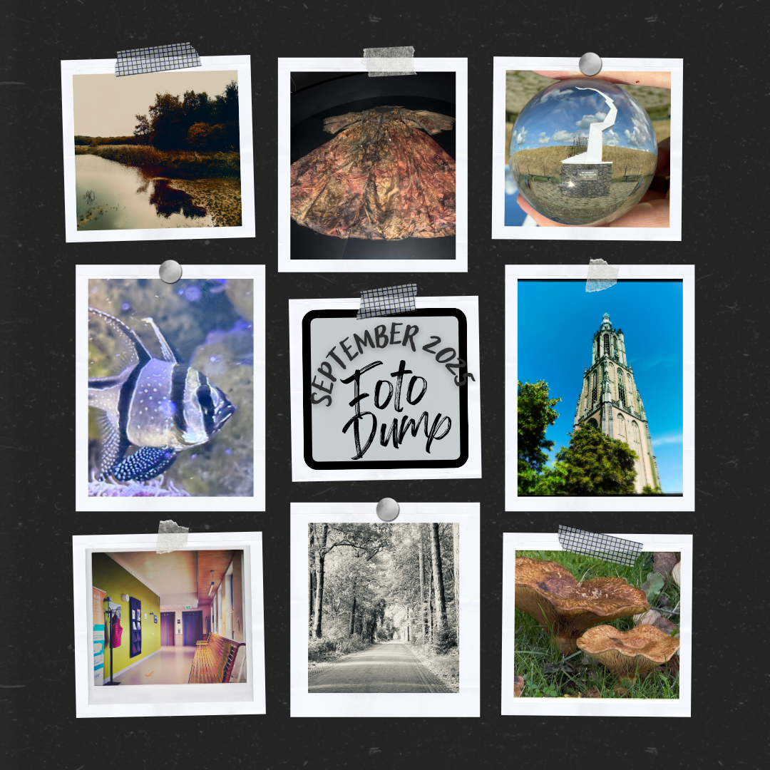 Fotodump September 2025