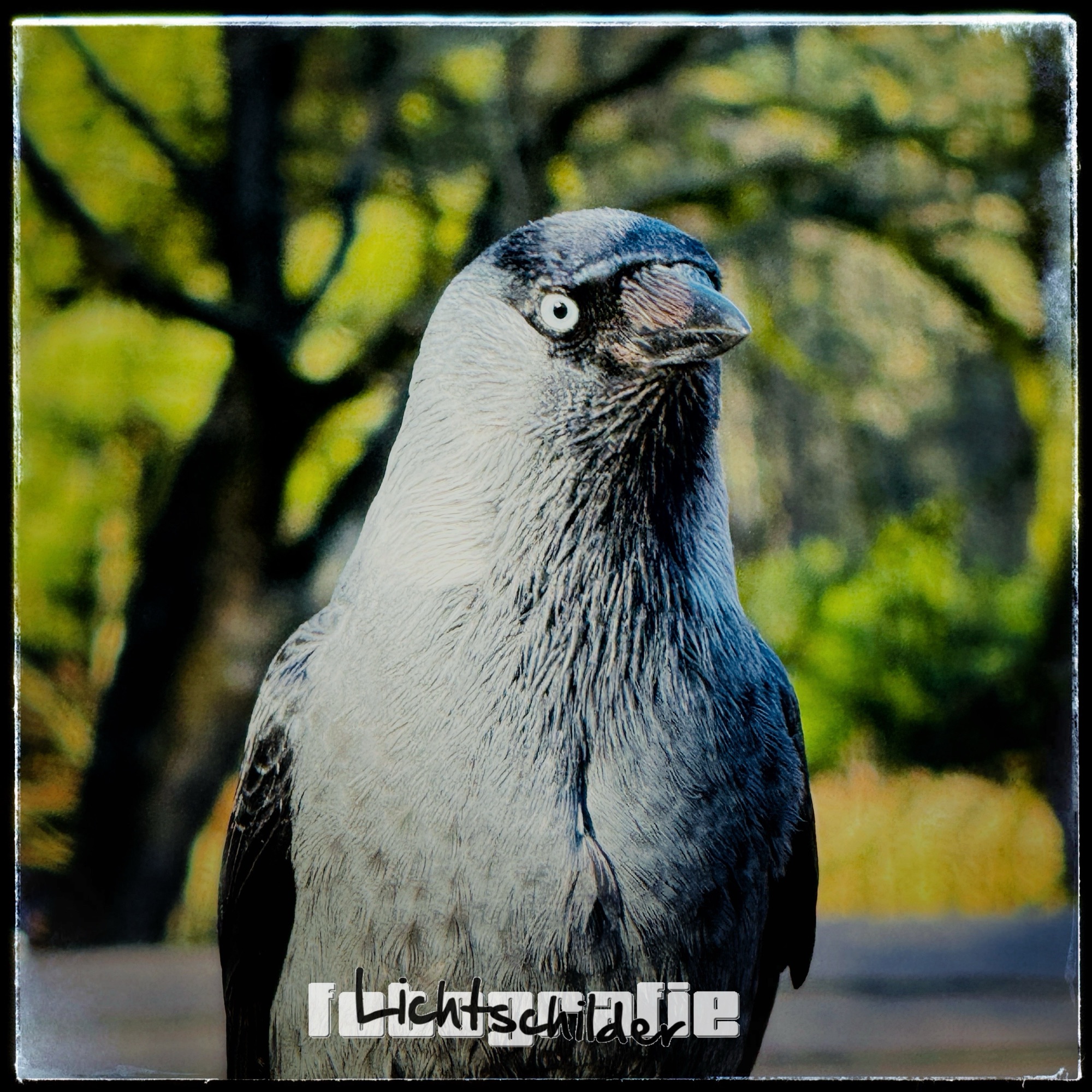 Blijven kijken helpt